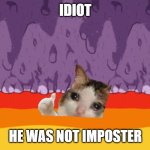 dead cat | IDIOT; HE WAS NOT IMPOSTER | image tagged in sad cat among us | made w/ Imgflip meme maker