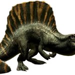 Spinosaurus 10 (JWR Design)