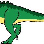Adult Gator