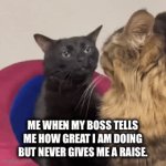 A day in the life | ME WHEN MY BOSS TELLS ME HOW GREAT I AM DOING BUT NEVER GIVES ME A RAISE. | image tagged in gifs,you had one job,work is overrated,work | made w/ Imgflip video-to-gif maker