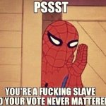 Pssst... your vote never mattered.