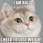 Heavy Breathing Cat | I AM BIG; I NEED TO LOSE WEIGHT | image tagged in memes,heavy breathing cat | made w/ Imgflip meme maker