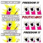 politics is a hoax