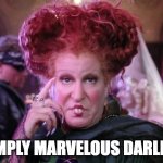 Bette Midler Hocus Pocus | SIMPLY MARVELOUS DARLING | image tagged in bette midler hocus pocus | made w/ Imgflip meme maker