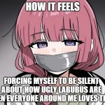 I do not like lububuss | HOW IT FEELS; FORCING MYSELF TO BE SILENT ABOUT HOW UGLY LABUBUS ARE WHEN EVERYONE AROUND ME LOVES THEM | image tagged in kikuri hiroi wrapping gagging | made w/ Imgflip meme maker