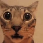 Shocked