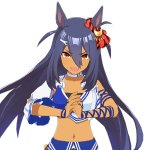 Hishi Amazon