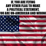 AMERICANS ONLY THE THE AMERICAN FLAG