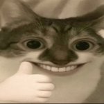 bombastic side eye cat v3 meme