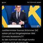 Gunnar Strömmer pedofil horunge svensk brottsling