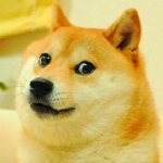 Doge template