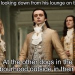Superior doge | My dog looking down from his lounge on the deck; At the other dogs in the neighbourhood outside in their yards | image tagged in twilight aro,dog,signature look of superiority,superior royalty,peasant | made w/ Imgflip meme maker