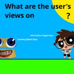 Users Views