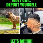 Funny | MUTT CUT... DEPORT YOURSELF. LET'S GO!!!!!!! | image tagged in funny,deportation,bad haircut,task failed successfully,wtf is that,gtfo | made w/ Imgflip meme maker
