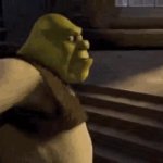 Shrek Fighting knights GIF Template