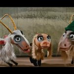 Lonely goatherd goats