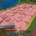 pig meme