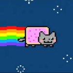 Nyon cat template