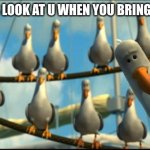 like no | HOW MFS LOOK AT U WHEN YOU BRING OUT GUM | image tagged in nemo seagulls mine | made w/ Imgflip meme maker