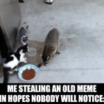 /.O.\ | ME STEALING AN OLD MEME IN HOPES NOBODY WILL NOTICE: | image tagged in gifs,funny,funny memes | made w/ Imgflip video-to-gif maker