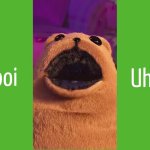 Noodle And Bun Uh Booi GIF GIF Template
