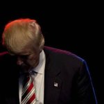 Trump head down meme