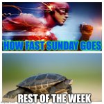 Fast vs. Slow | HOW FAST SUNDAY GOES; REST OF THE WEEK | image tagged in fast vs slow | made w/ Imgflip meme maker