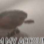 Mudeo meme meme