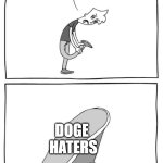 Respect Doge | DOGE
 HATERS | image tagged in ew i stepped in shit meme,memes,why are you reading this | made w/ Imgflip meme maker