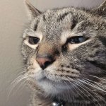 Mochi Sad