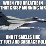 MIG 29 GHOST | WHEN YOU BREATHE IN THAT CRISP MORNING AIR; AND IT SMELLS LIKE JET FUEL AND CABBAGE ROLLS | image tagged in mig 29 ghost,slavic lives matter,slavic air | made w/ Imgflip meme maker