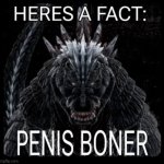 Here's a fact; penis boner