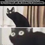 Chat, Am I gonna survive at grandmother's hause? | ME WHEN I'M LOWKEY FULL OF FOOD AND PARENTS COME TO ME TO TELL THAT WE'RE GOING TO GRANDMA: | image tagged in oh no cat | made w/ Imgflip meme maker
