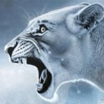 Lions yelling at each other while monkey ponders at a distance