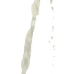pissing