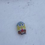 snowbob template