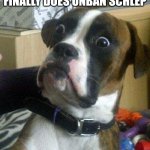 not yet!!!! | ME WHEN ROBLOX FINALLY DOES UNBAN SCHLEP | image tagged in surprised dog | made w/ Imgflip meme maker