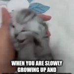 Relateble? | WHEN YOU ARE SLOWLY GROWING UP AND RELATEBLE MEMES LOOK STUPID | image tagged in gif,relatable,what,stop,just do it | made w/ Imgflip video-to-gif maker