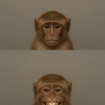 MONKEY BUSINESS meme