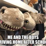 Me And The Boys | ME AND THE BOYS DRIVING HOME AFTER SCHOOL | image tagged in the dogs in the car,me and the boys | made w/ Imgflip meme maker