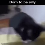 B | image tagged in gifs,b | made w/ Imgflip video-to-gif maker