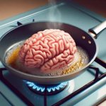Fried brains