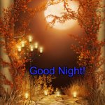 Good night Autumn | Good Night! | image tagged in good night autumn | made w/ Imgflip meme maker