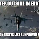 Slavic Black Knights | WHEN YOU STEP OUTSIDE IN EASTERN EUROPE; AND THE AIR ALREADY TASTES LIKE SUNFLOWER SEEDS AND HISTORY | image tagged in slavic black knights,slavic air,slavic lives matter | made w/ Imgflip meme maker