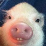 Excited for nuggies