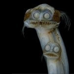 Deep Sea Creatures