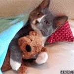 gif GIF Template