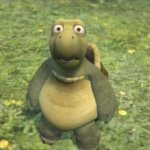 over the hedge turtle