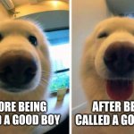 Good Boy | AFTER BEING CALLED A GOOD BOY; BEFORE BEING CALLED A GOOD BOY | image tagged in happy dog,good boy | made w/ Imgflip meme maker