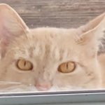 I'm watching you